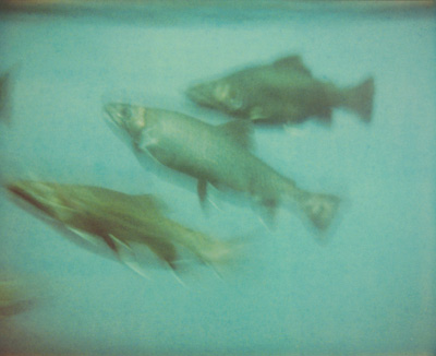 5490.jpg