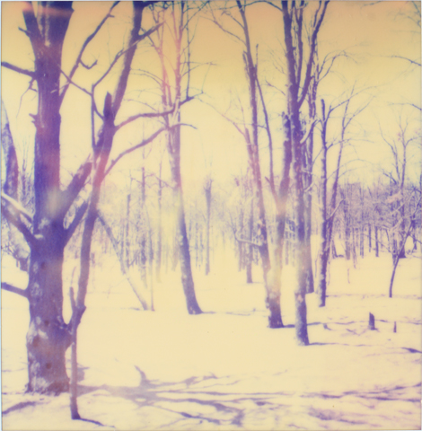 24_1045_wald.jpg