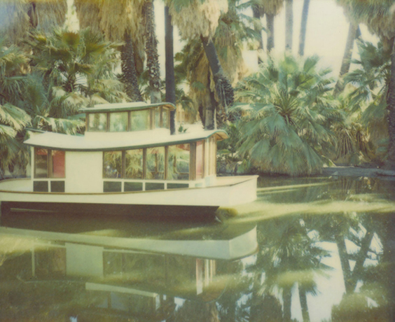 oasis.jpg